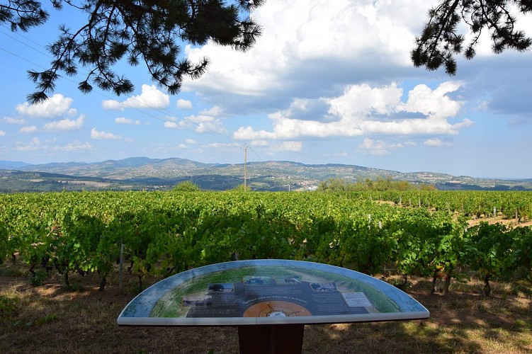 Table de lecture du paysage de La Madone