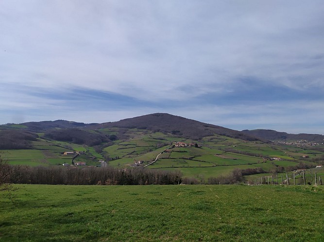 Paysage durant la balade