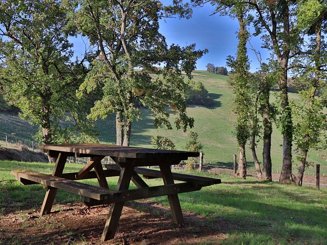 Circuit Les Chapelle_Brullioles