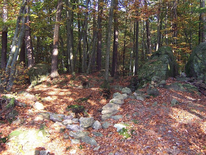 Circuit le Bois des Roches_La Chapelle-sur-Coise