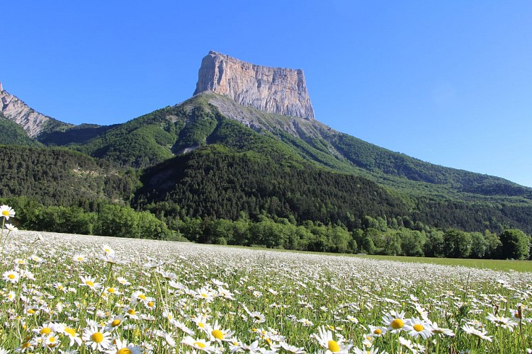 Sous le regard du géant Mont-Aiguille_Chichilianne