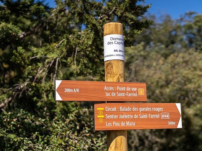 SENTIER JOËLLETTE DE SAINT-FARRIOL MARION RICARD (2)