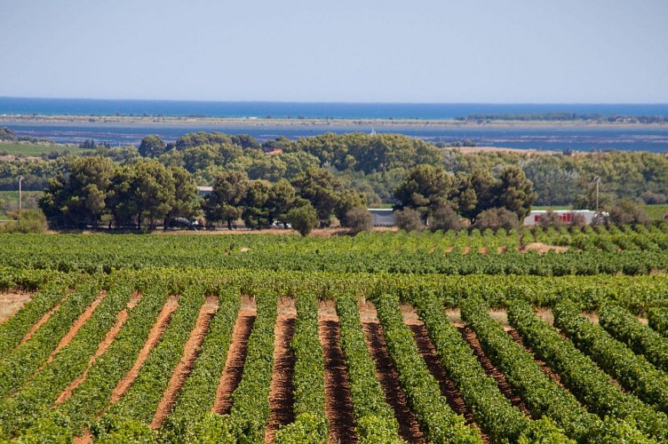 ©Aloha Studio - GTMC VTT - 72 Pinet