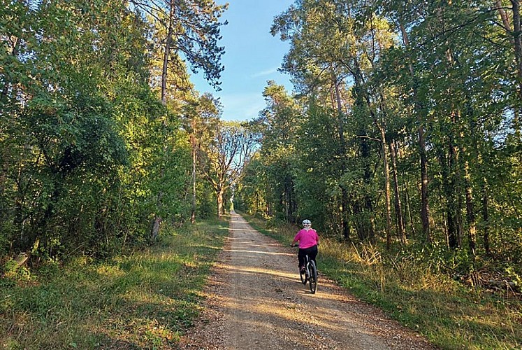 Randonnée de la Montagnotte à VTT