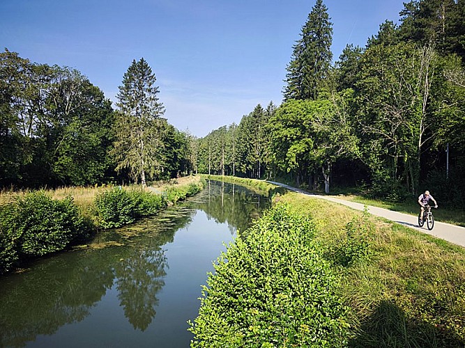 A vélo sur le canal entre Champagne et Bourgogne - V53
