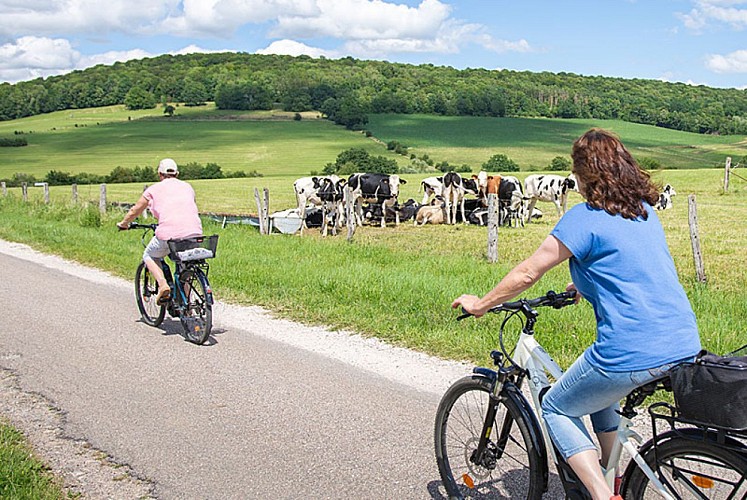 La Meuse à Vélo sur une petite route de Haute-Marne