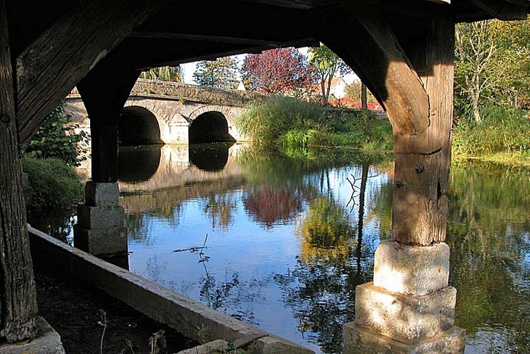  Lavoir de Dommarien