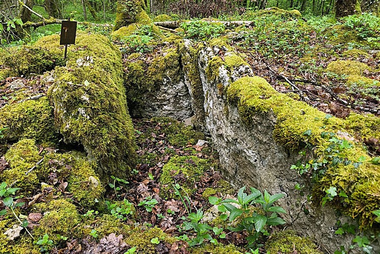 Coffre du site néolithique Fort Bevaux