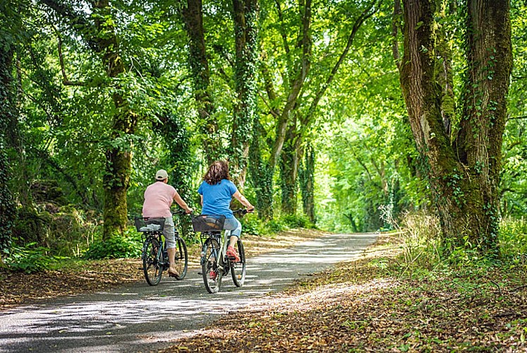 A vélo en Haute-Marne