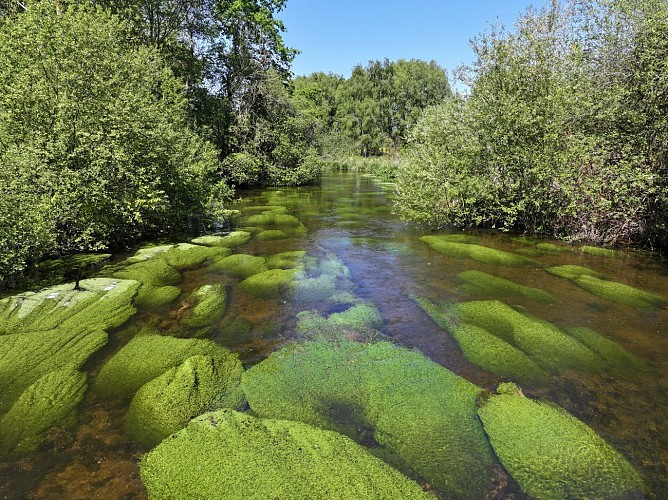 La rivière à Charray