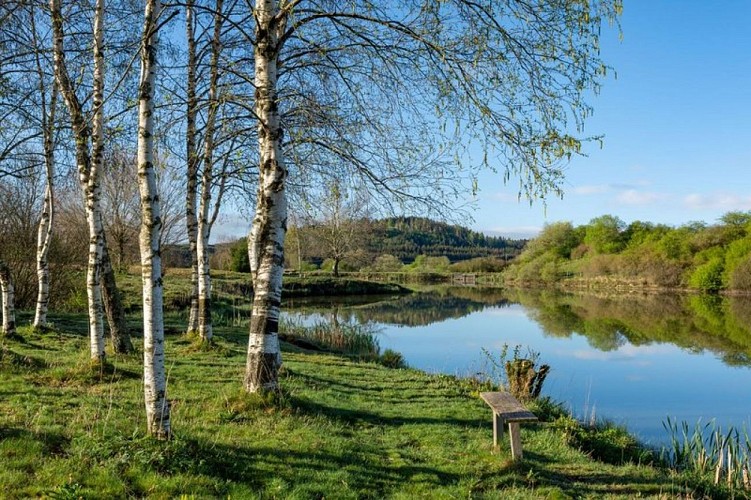 Etang_Etarots©LaurentLEPEULE