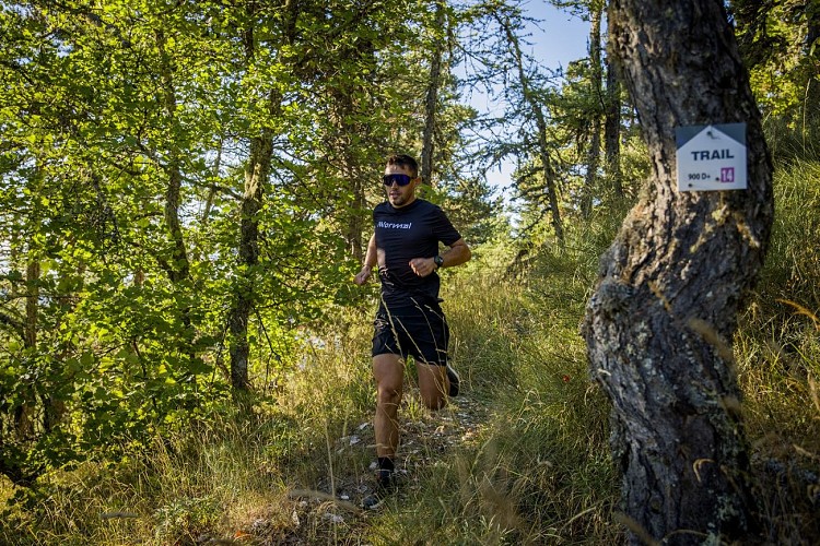 Espace Trail des sources aux gorges du Verdon_Saint-André-les-Alpes