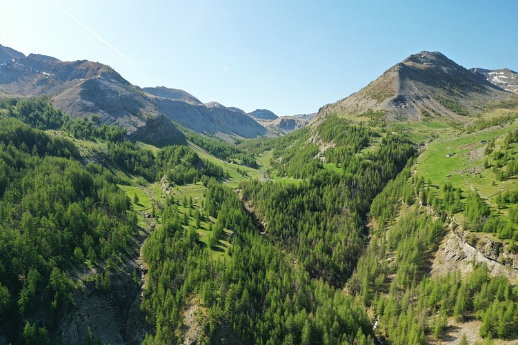 Espace Trail des sources aux gorges du Verdon_Saint-André-les-Alpes