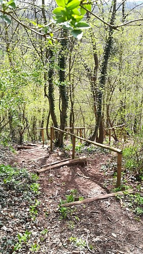 P9 - Venelles discretes d'Embourg