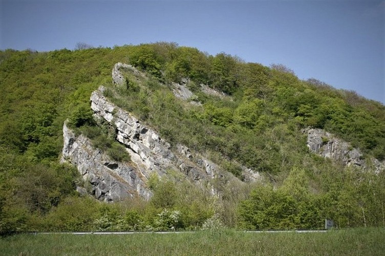 P11 - Autour du bois de la Picherotte