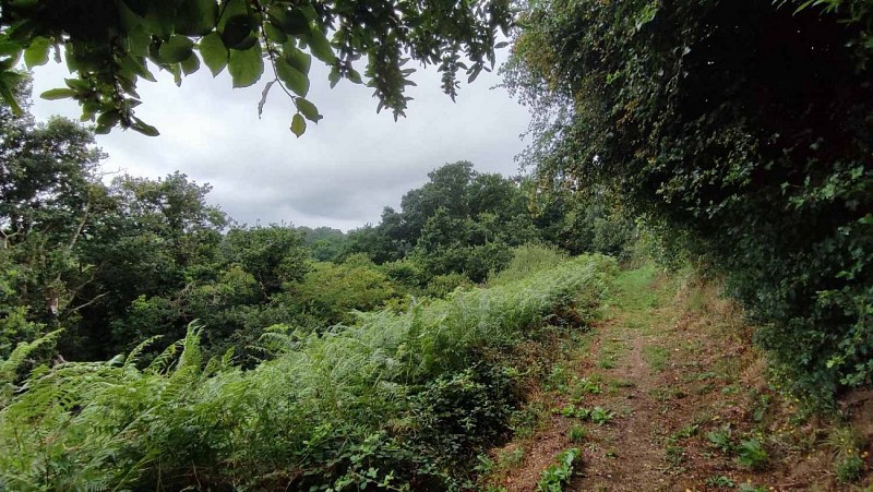 Sentier du Guillec - Plouzévédé