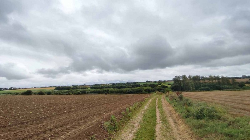 Sur les plateaux - Plouzévédé