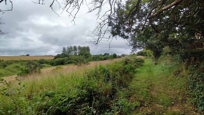 Sentier du Guillec - Plouzévédé