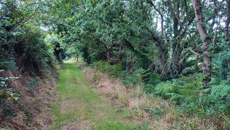 Chemin de randonnée - Plouzévédé