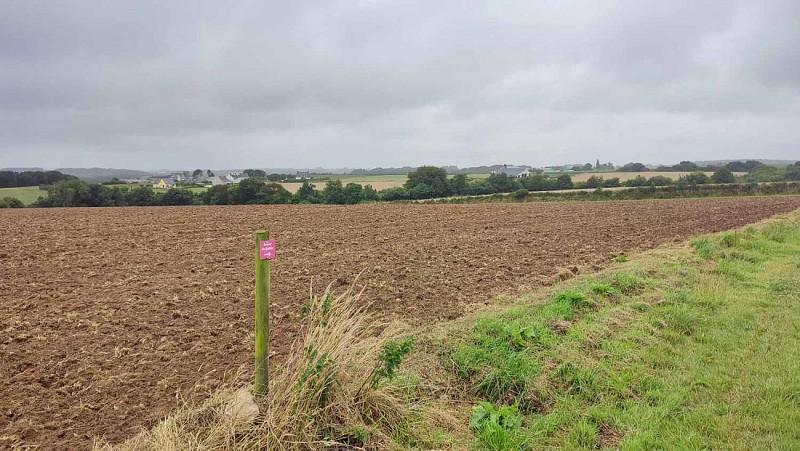 Sur les plateaux - Plouzévédé