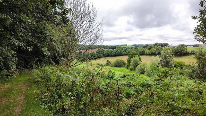 Chemin de randonnée - Plouzévédé