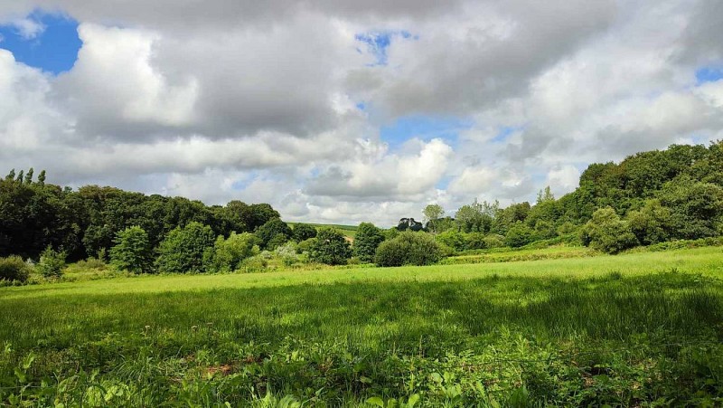 La vallée du Guillec - Plouzévédé
