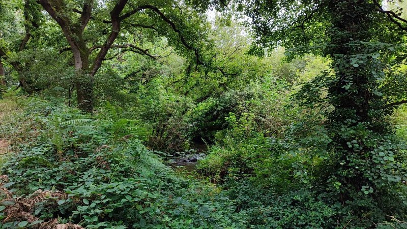 Le Guillec - Plouzévédé