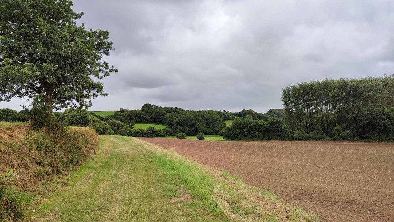 Chemin de randonnée - Plouzévédé
