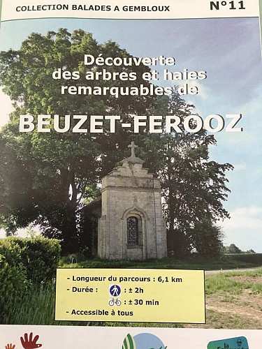 Balade à Beuzet - Ferooz - "Découverte des arbres et haies remarquables"
