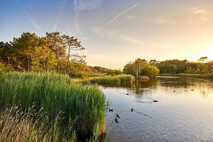 Circuit n°16 - Le Marais de Mousterlin