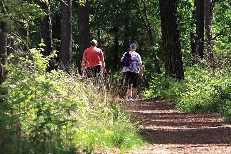 Itinéraire d'un Briquetier