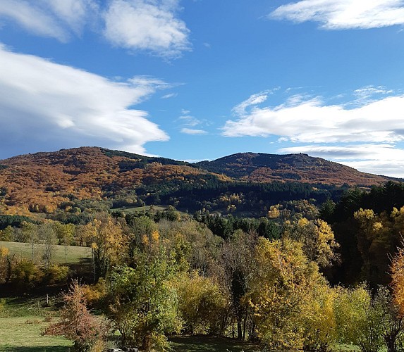 LE CHEMIN DE LA HÊTRAIE