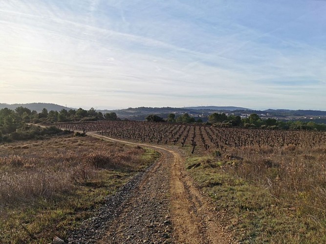 RANDONNÉE AIGUES-VIVES LES RIVES DE LA CESSIÈRE