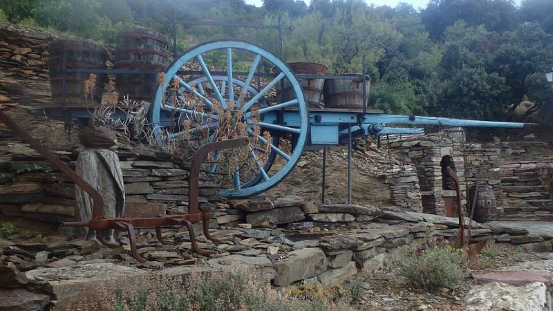 randonne-ventajou-felines-minervoie-01