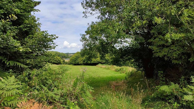 Prés et vallée de la campagne de Tréduder