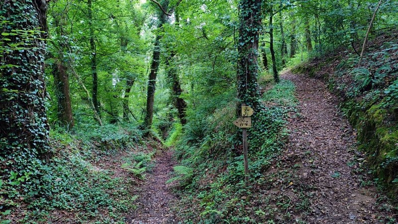 Chemins Chevaux - Piétons | Vallée du Yard