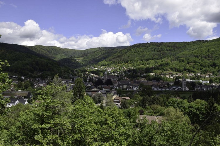 Sentier du Hirschenbach