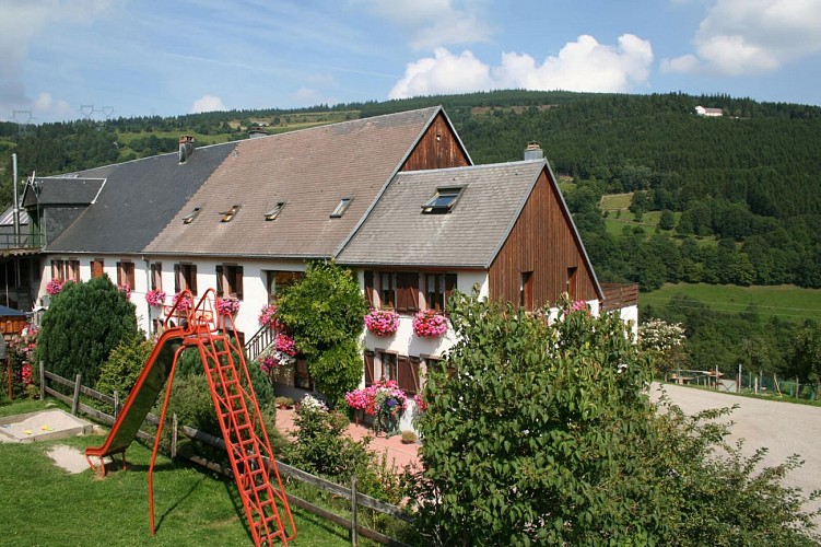 Balade ferme-auberge Pré Bracot : Le long des anciennes terrasses