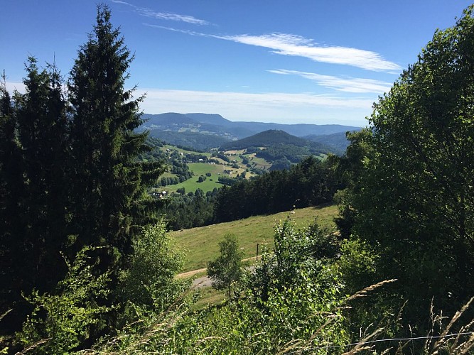 Balade ferme-auberge Pré Bracot : Le long des anciennes terrasses