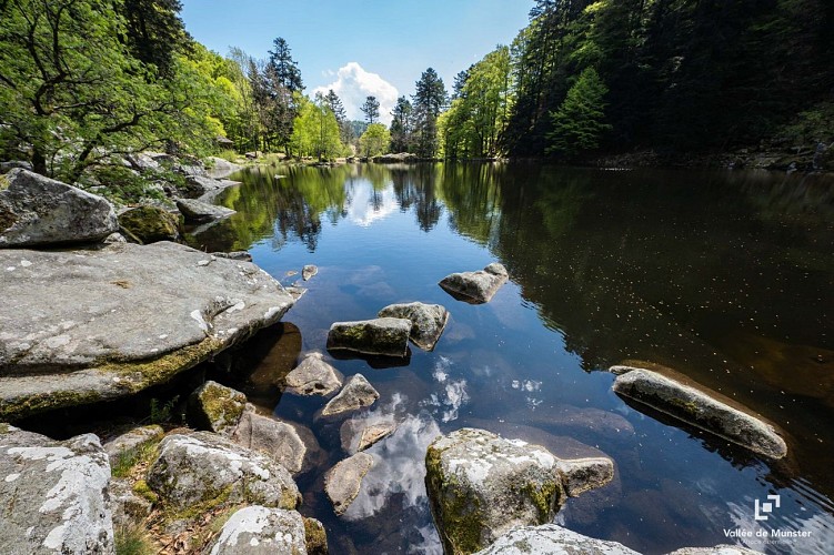 Hiking Tour : Wormsa and Fischboedle