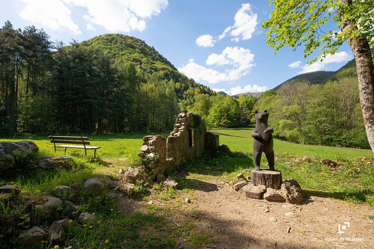 Circuit de randonnée : Les cascades de la Wormsa et le lac du Fischboedle