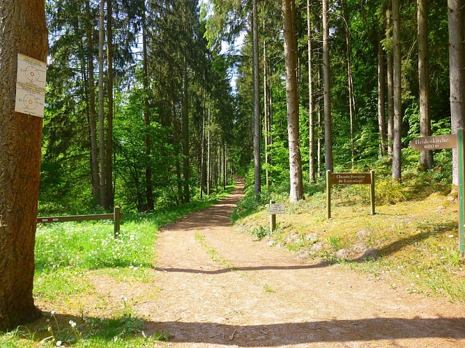 Point de départ de la promenade forestière