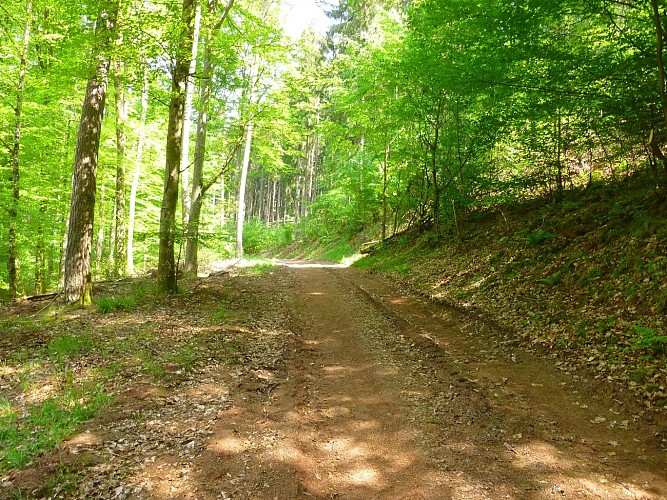 Prendre le chemin vers Saumuehle.