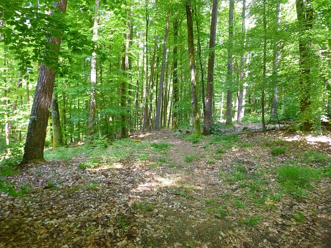 Avant et après le ravin, le chemin s'efface quelque peu.