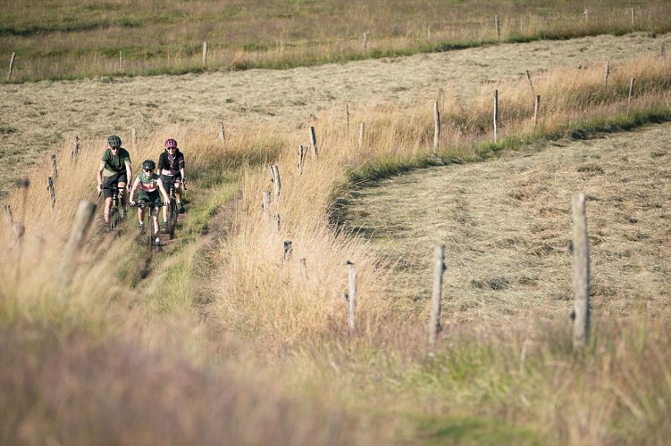 Mountain bike Strecke - TMV Vallée de la Bruche