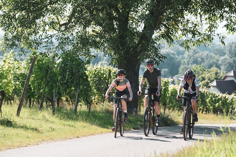 Mountain bike trail - TMV Vallée de la Bruche