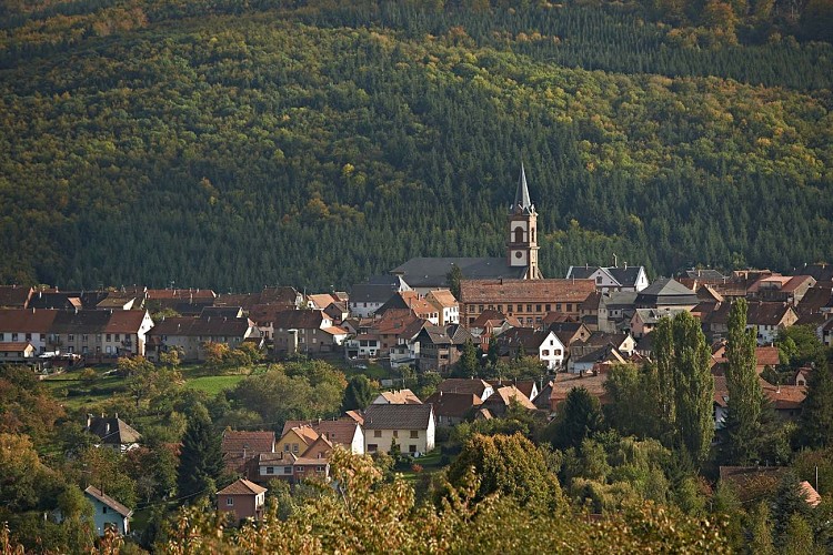 Circuit VTT - TMV Vallée de la Bruche Grendelbruch à Oberhaslach