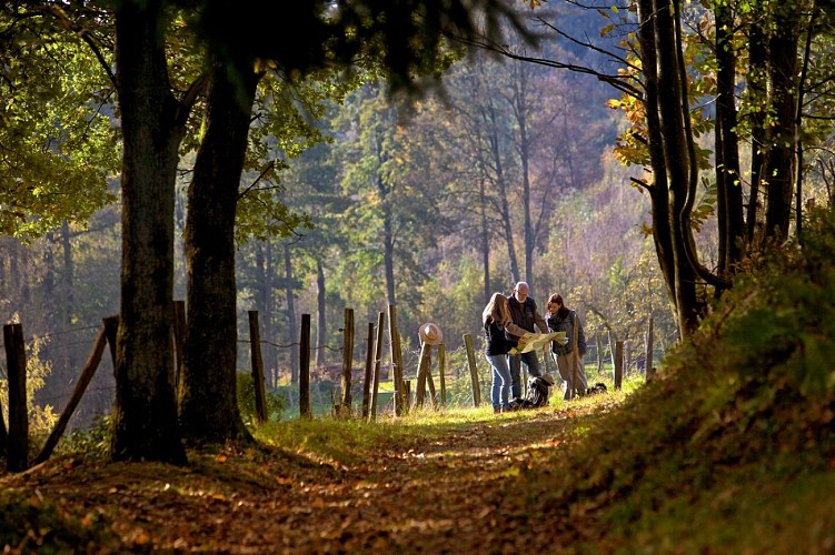 Grenzüberschreitender Spaziergang nach Nothweiler
