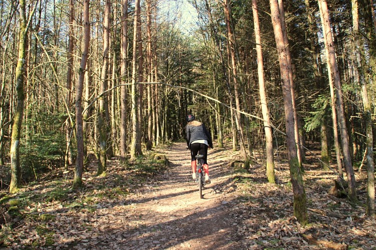 Mountain bike trail - Les Sources