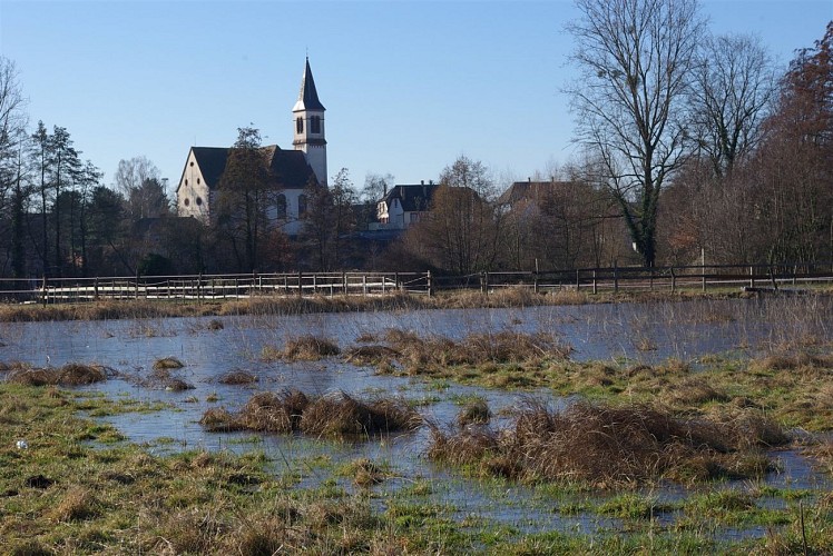 Le sentier du Ried